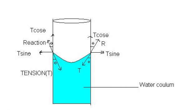 what-is-capillarity